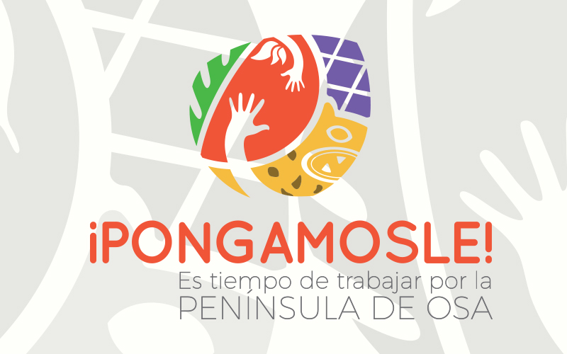 ¡Pongámosle!